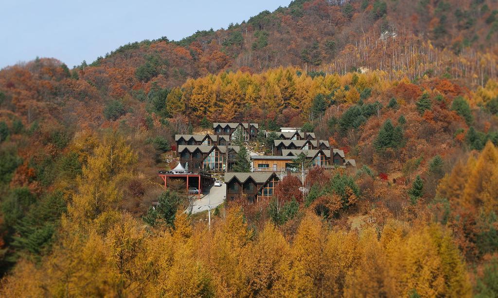 Chalet Resort Pyeongchang Luaran gambar